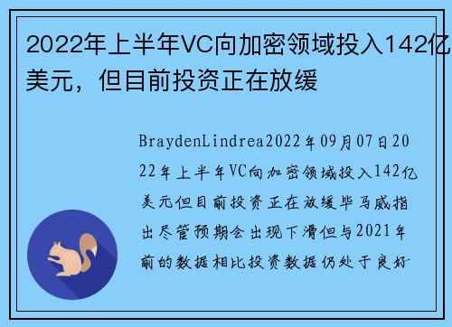 2022年上半年VC向加密领域投入142亿美元，但目前投资正在放缓 